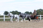 SBM_001187