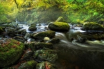 The-Autumn-River