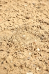 SBM_002268