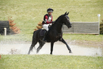 BVHT 140517  IXC -202