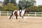 SBM_01671