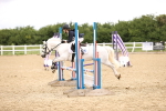SBM_001180