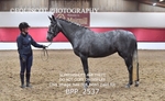 BPP_2537