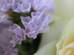 P82201410267