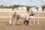 SBM_14005