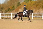SBM_009216