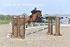 BPP_7397