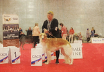 females CAC winner 2