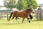 SBM_00488