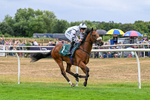 170826-Race 2-Harrys Pop-9191