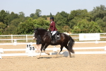 SBM_005646