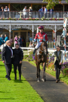 230923-Race 5-Vintage Clarets-6833