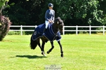230707-112319-06656_Cls 12 Foxhunter  120m Open