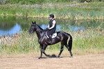 WJ7_6931