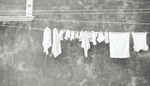 WASH - VENICE