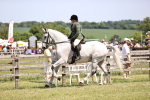 SBM_16114
