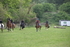 WJ6_2418