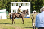 SBM_20162
