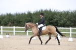 SBM_017449