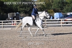 BPP_8674