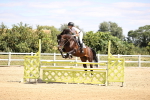 SBM_007953