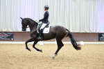 SBM_005146