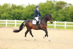 SBM_006620