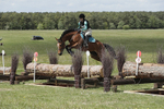 BVHT 140517  IXC -533
