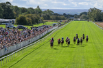 050926-Race 3-Dontlookanyfurther-3447