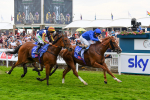 170623-Race 2-Wild Lion-0367