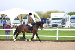 SBM_00231