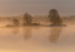 Sunrise at Lough Boora