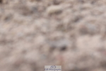 240706A-172225-04621