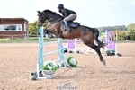 Cls 10 Foxhunter and 1.20m portfolio
