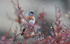 Robin Accentor