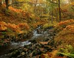 Watendlath Beck