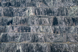 Level 5