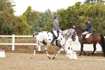 SBM_002676