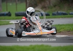 Karting_08-01-2012-12