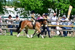 SBM_06440