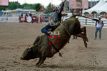 3HRodeo7-27-25_CFD_04074_Qynn Andersen