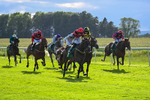 310526-Race 6-Mountain Road-9276
