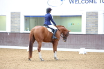 SBM_000604
