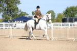 SBM_17490
