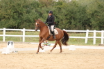 SBM_00548