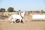 SBM_00164