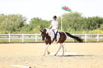 SBM_010141