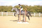SBM_001489