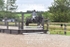 BPP_1775