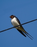 20110428-IMG_5140-165